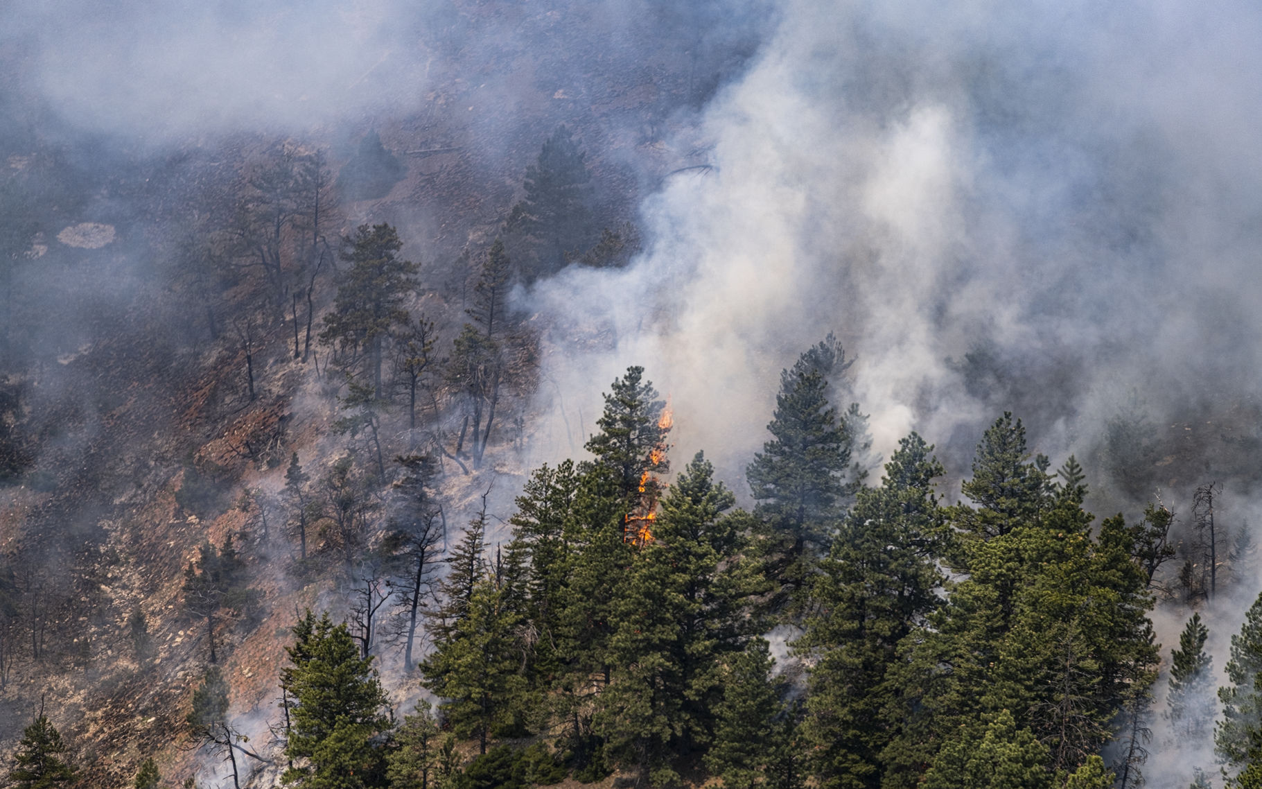 Crooked Creek Fire 2021